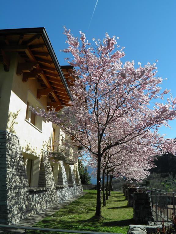 Villa Primula Bellagio Quarto foto